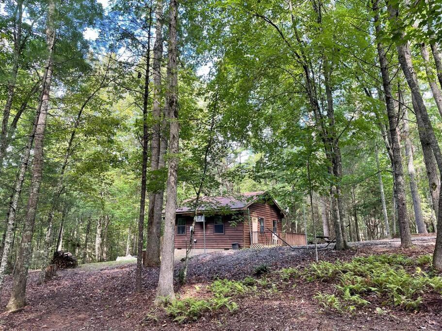 Private Cozy Cabin In The Woods With Great View Murphy Bagian luar foto